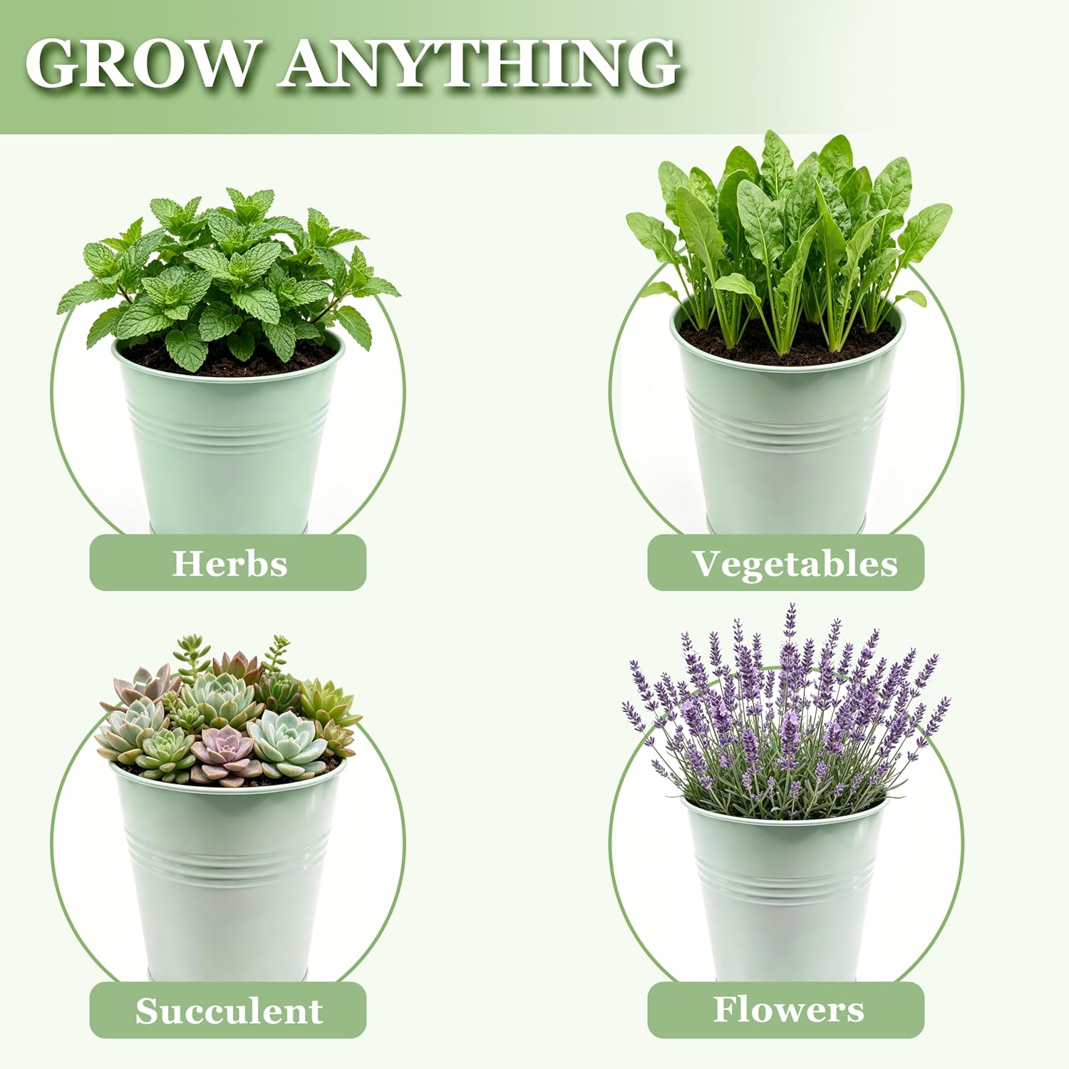 TCBWFY Indoor Herb Garden Planter Set - 3 Pack 4.7" Green Metal Plant Pots with Drainage Holes & Removable Tray - Windowsill Kitchen Counter Balcony Office Garden image 5