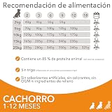 Ver la foto 5
