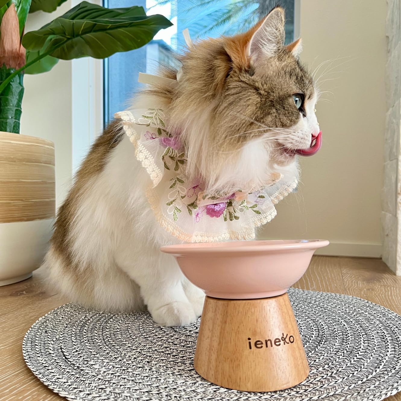 Amazon | ieneko 猫 皿 陶器 セラミック 脚付フードボウル 猫ボウル