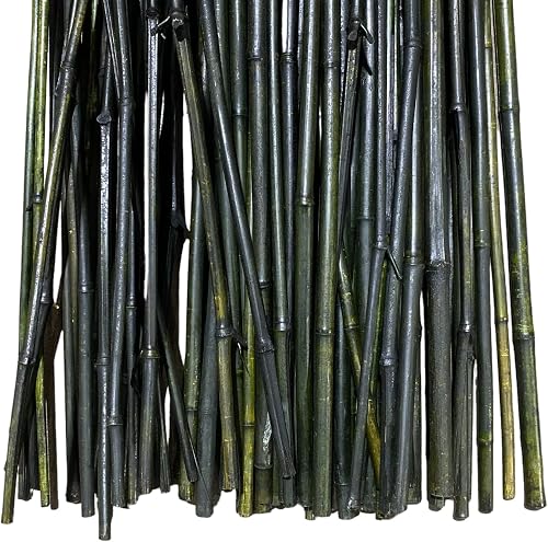 5 ft Tall All-Natural Thick Bamboo Poles - (1/2 in Wide) - 16 Pack - 6 Colors Available! (Black)