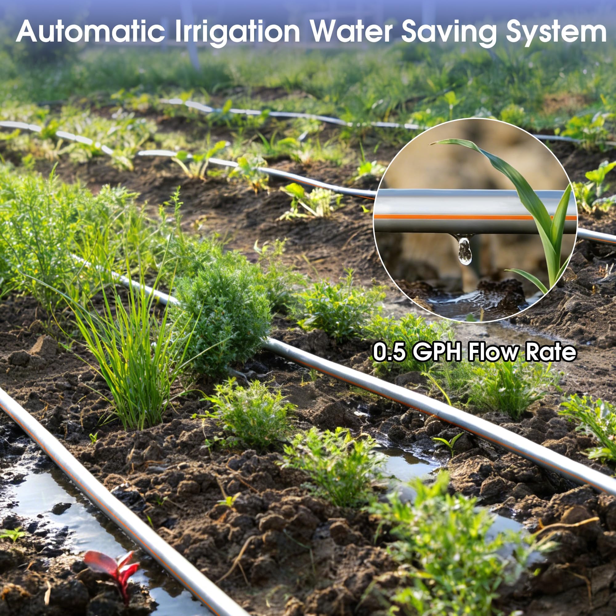 Nastro antigoccia da 1640 m, rotolo di spaziatura da 15,2 cm, nastro per irrigazione a goccia da 8 mil, tubo per irrigazione a foro 0,5 GPH/foro tubo per irrigazione argento anti-uccelli design