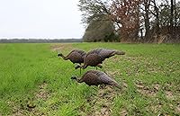 Vista 4 de MOJO Outdoors Turkey Hunting Decoys and Accessories