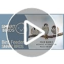 Smart Bird Feeder Davos - Hanging No Mess Station - Rat And | WhichOne