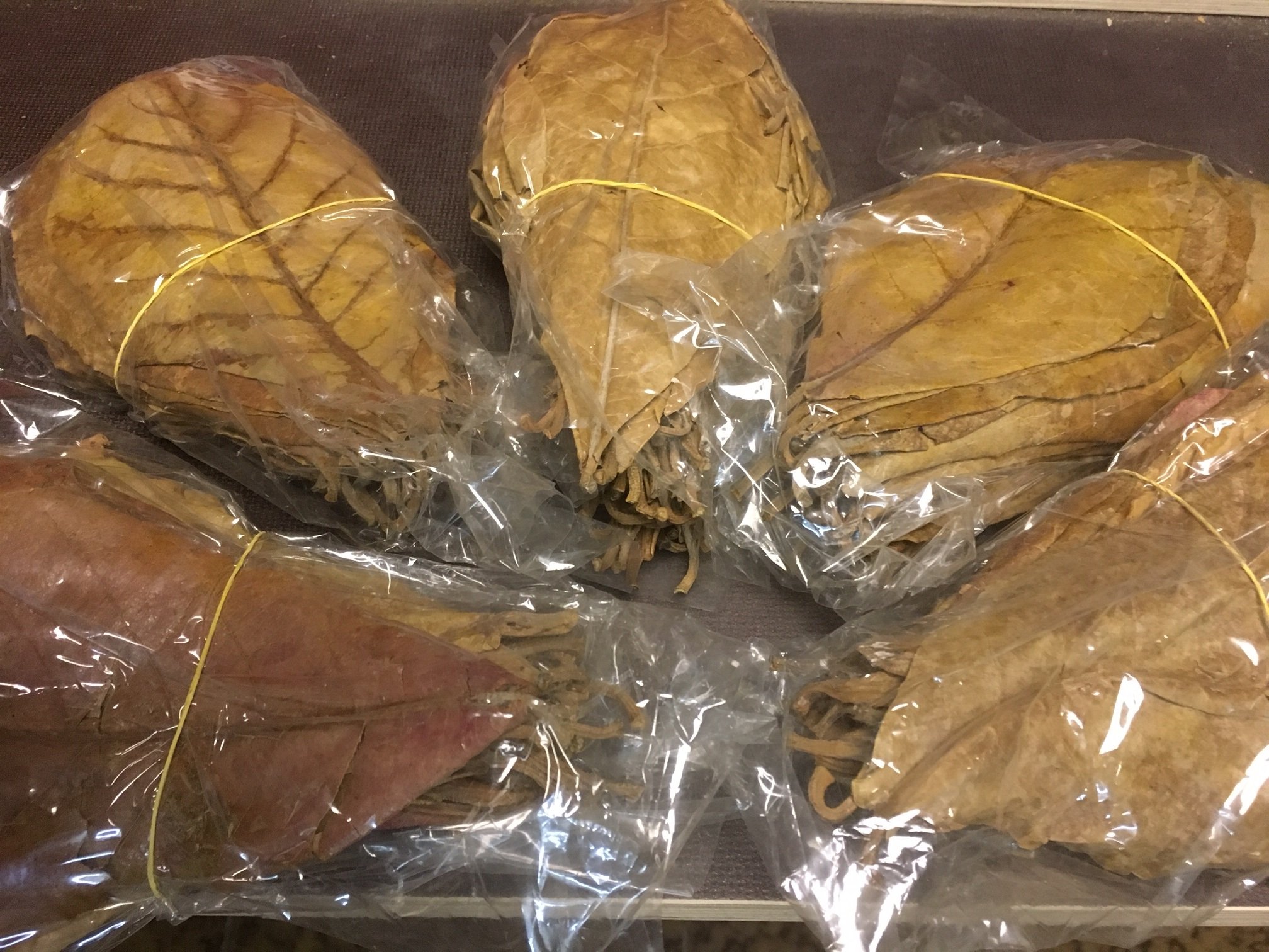 350 g de hojas de almendro marino, 20-25 cm (~ 200 unidades)