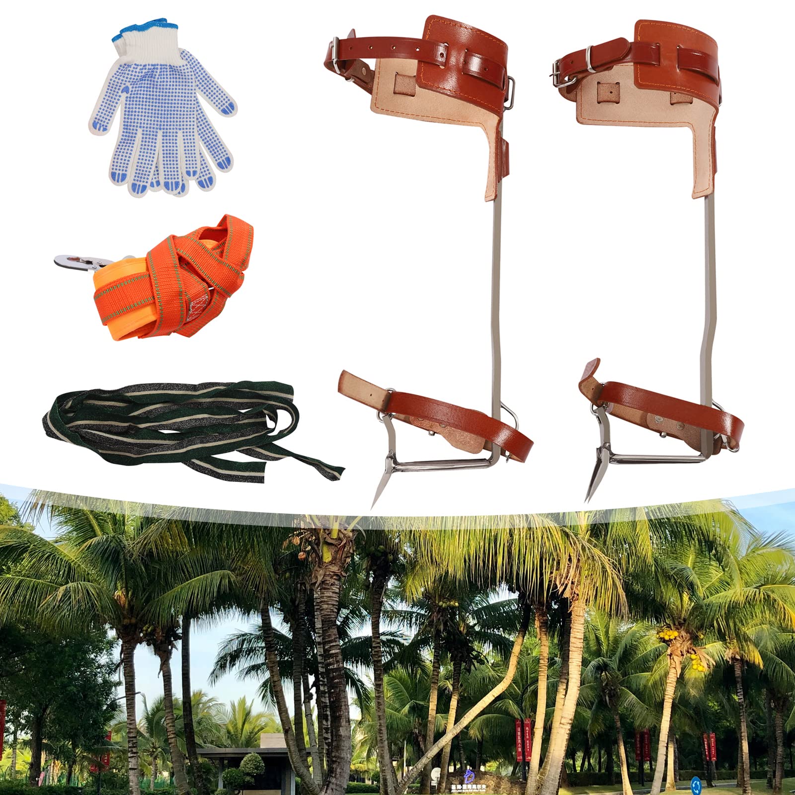 Tree Climbing Spikes Kit, Stainless Steel Climbing Tree Spikes, Adjustable Tree Climbing Gear Pole Climbing Spurs Tool with Harness Belt for High Altitude Logging Fruit Picking Hunting Equipment