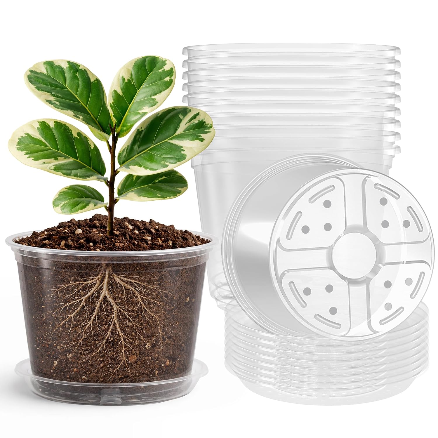 Bluepro 120 Packs 3.15 Inch Peat Pots - Image 8