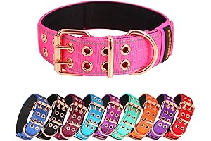 Heavy Duty Dog Collar for Wide-Ranging Canine Adventures