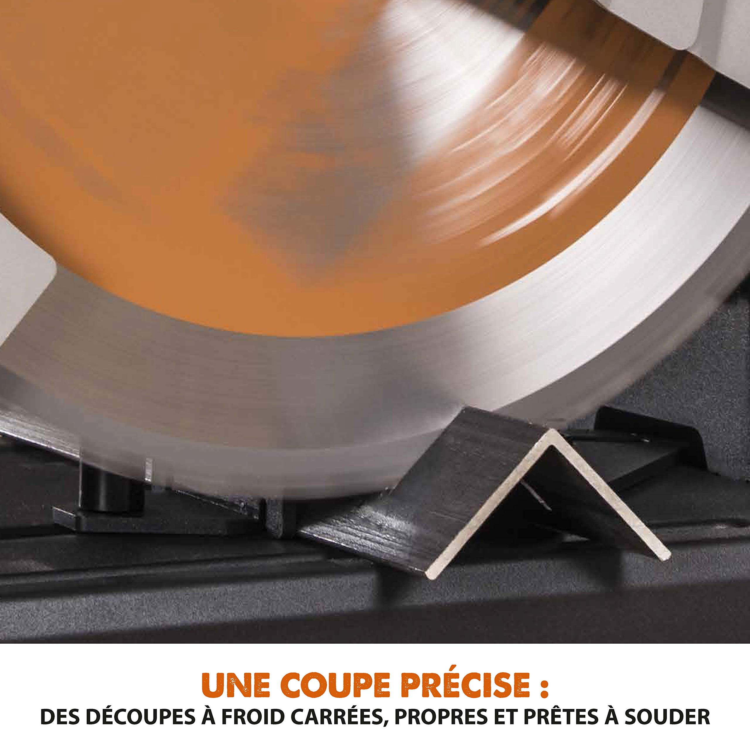 Evolution Power Tools R355CPS Scie À Tronçonner 355 mm Lame Circulaire Multi-Matériaux