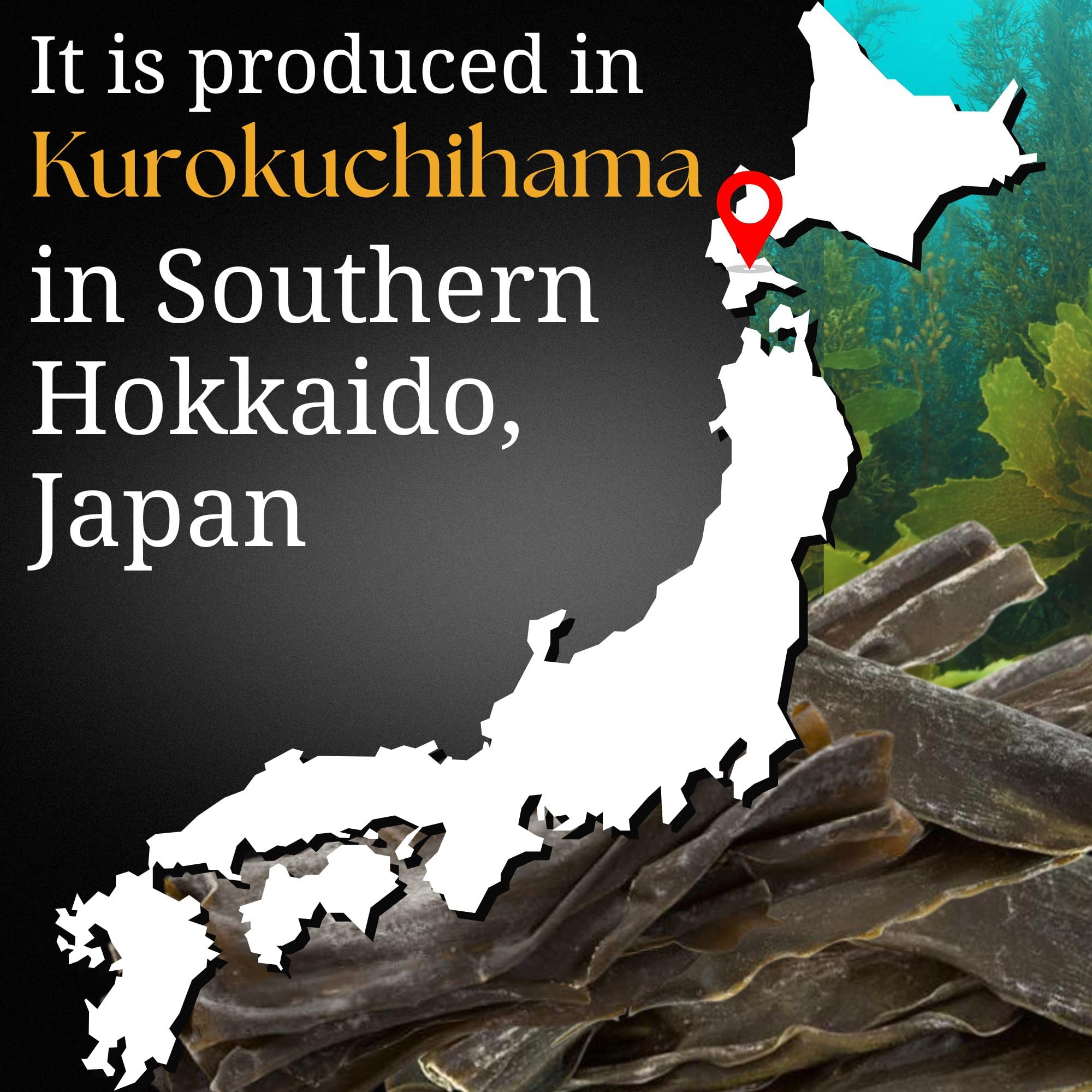 Varech doux Hokkaido, Umami naturel, Kombu sauvage de Hokkaido | Sans conservateurs, sans additifs, sans OGM | Algues séchées japonaises | 100 g SUI of Tokyo