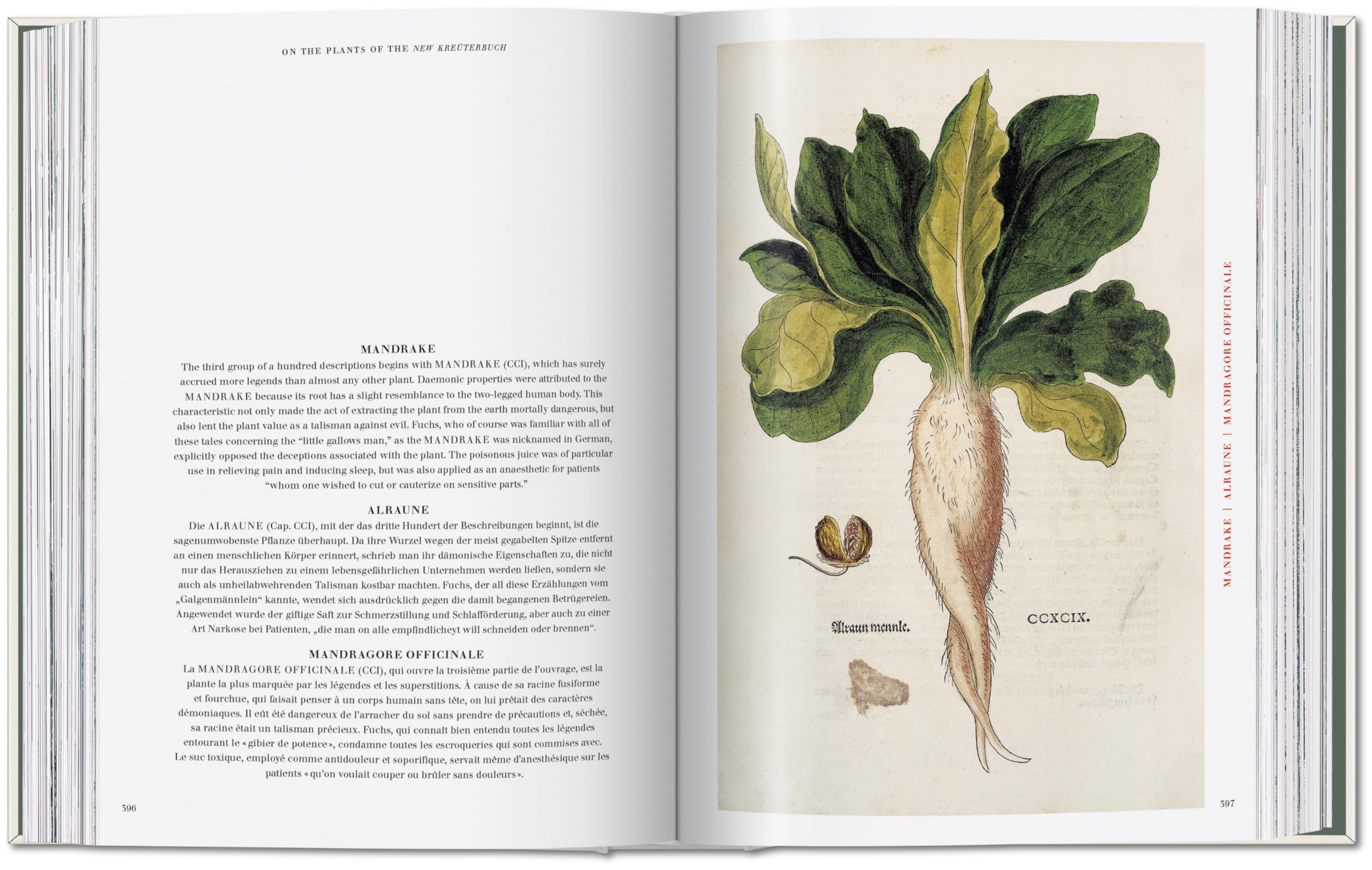 Leonhart Fuchs: The New Herbal