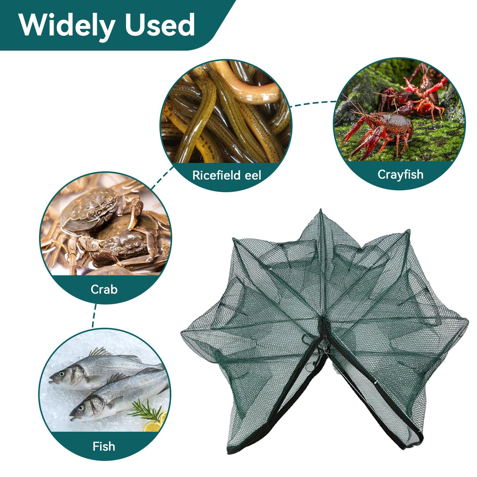 Cyrank Pièges à ménés 6/12 Trous pour Poissons-appâts, piège à Filet de pêche avec épuisette Pliable, piège à écrevisses appâts pour Attraper de Petits Poissons-appâts