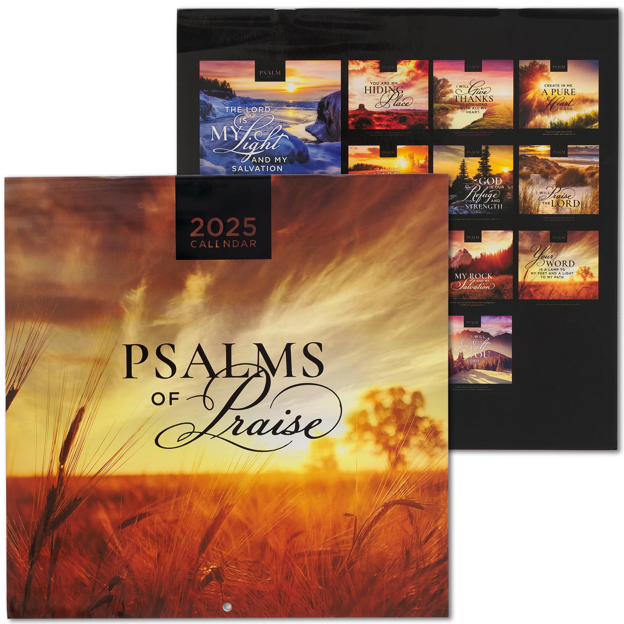 Christian Art Gifts Large Inspirational Scripture 2025 12 Month Wall Calendar for Men, Women & Kids: Psalms of Praise Encouraging Bible Verses, Beautiful Colorful Scenic Nature, Office & Home, 10 x 10