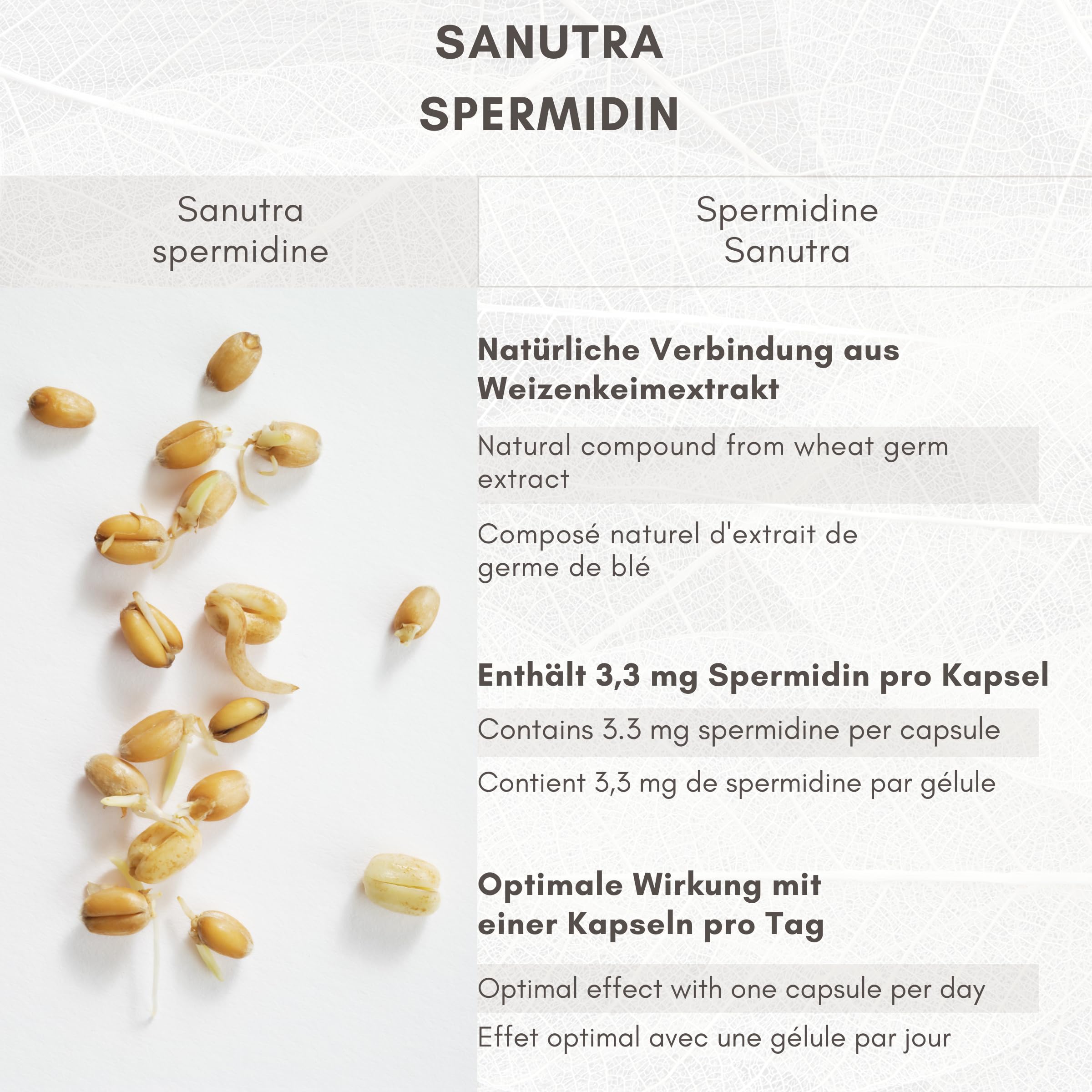 SANUTRA® Spermidine Gélules – Extrait de germe de blé 2%, 3,3 mg par gélule, véganes, sans additifs – 270 gélules de 165 mg