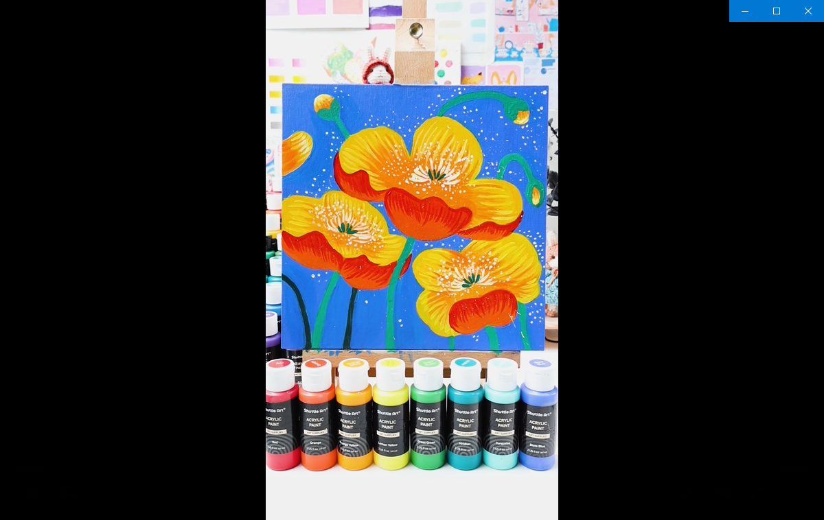 Shuttle Art Ensemble de peinture acrylique de 87 pièces, ensemble de peinture sur toile avec 3