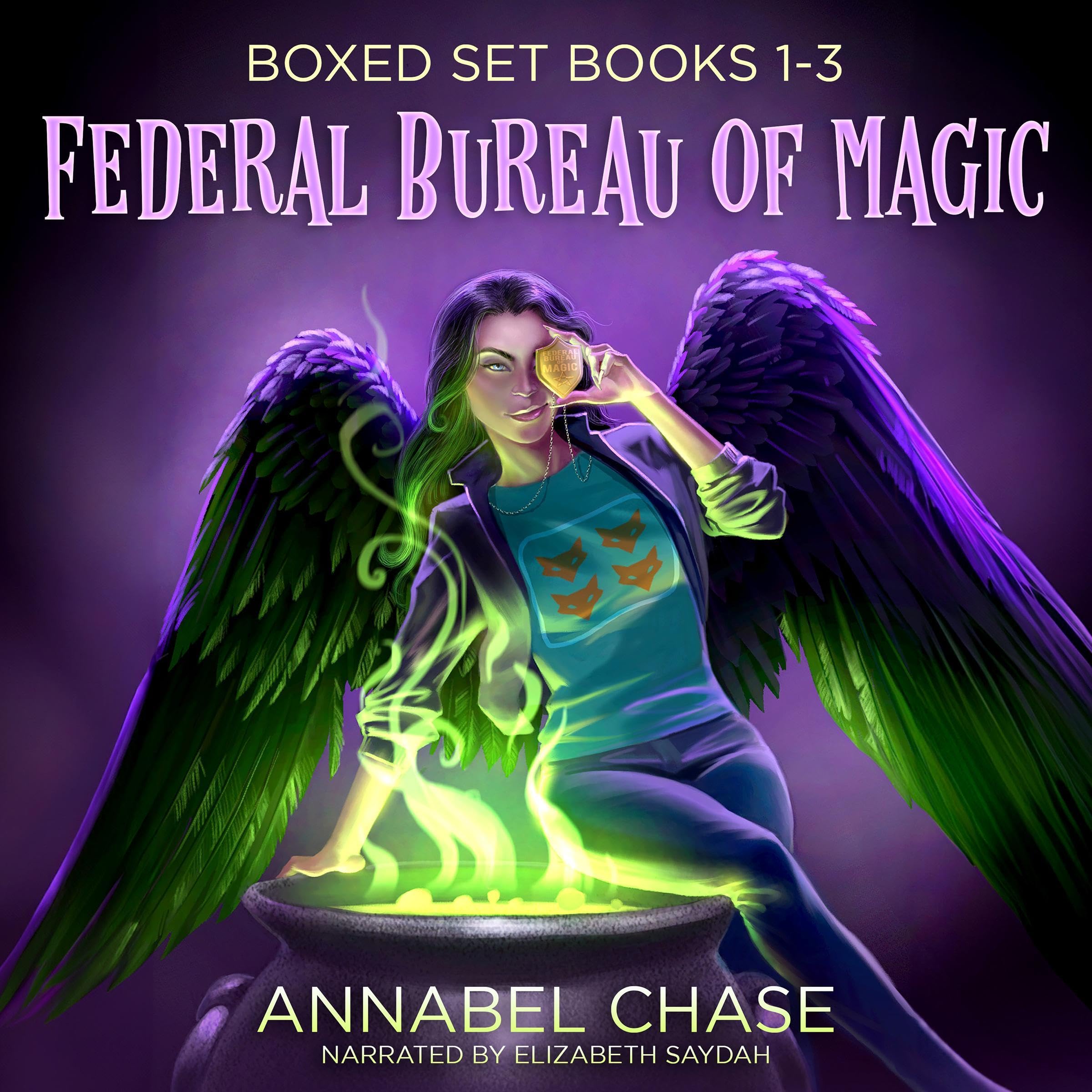 Cover art for Federal Bureau of Magic Boxed Set