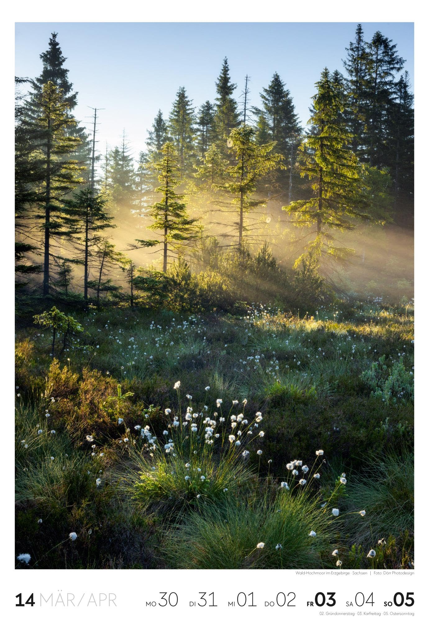 Natur Wochenkalender 2026 | Natur-Kalender mit 53 großformatigen Bildern im Hochformat (29x42 cm) | Heimische Flora und Fauna