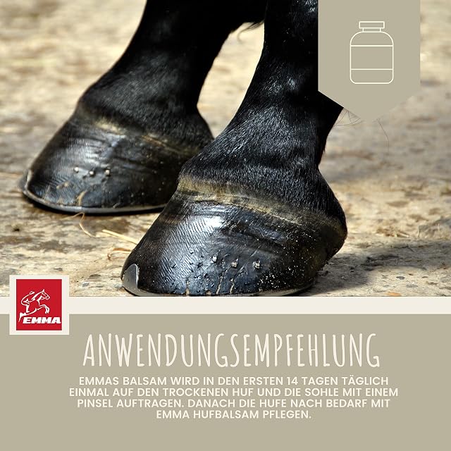 Foto 7 de 8 de EMMA Grasa para Cascos de Caballos con Aceite de Nuez - 2x500ml Cuidado Natural para Cascos Secos