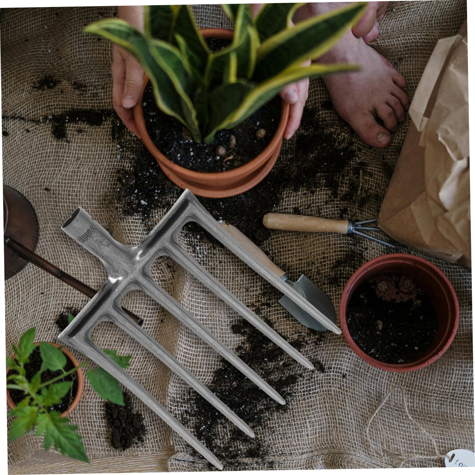 BESPORTBLE Forca in Acciaio a 5 o 6 Denti per Lavorazione del Terreno, Efficiente per Orto e Giardino, per Aiuole e Attività Agricole