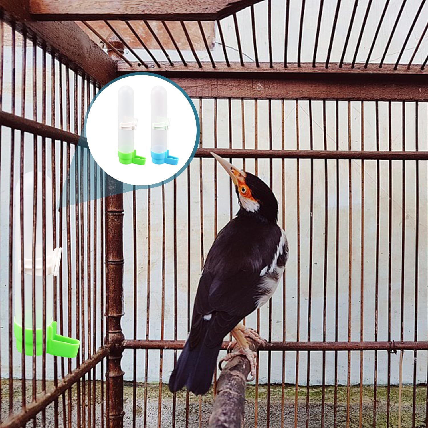 2 Bevitori di Acqua per Uccelli E 1 Giocattolo Altalena, Accessori per Gabbia per Uccelli, Forniture per Animali Domestici, Alimentatore d'Acqua Automatico.