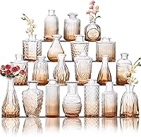 Vista 18 de Juego de jarrones de vidrio para brotes de 30 piezas, pequeños jarrones de flores, jarrones de vidrio para centros de mesa, jarrones de brotes