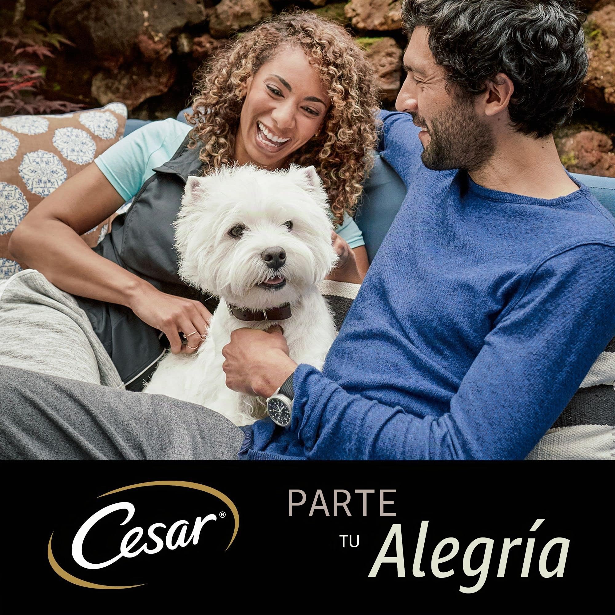 CESAR Comida húmeda para Perros para Adultos – 4 Bolsas de 12 x 100 g – con Pollo y Carne de Res – Comida húmeda equilibrada Premium para Perros – 4 Unidades