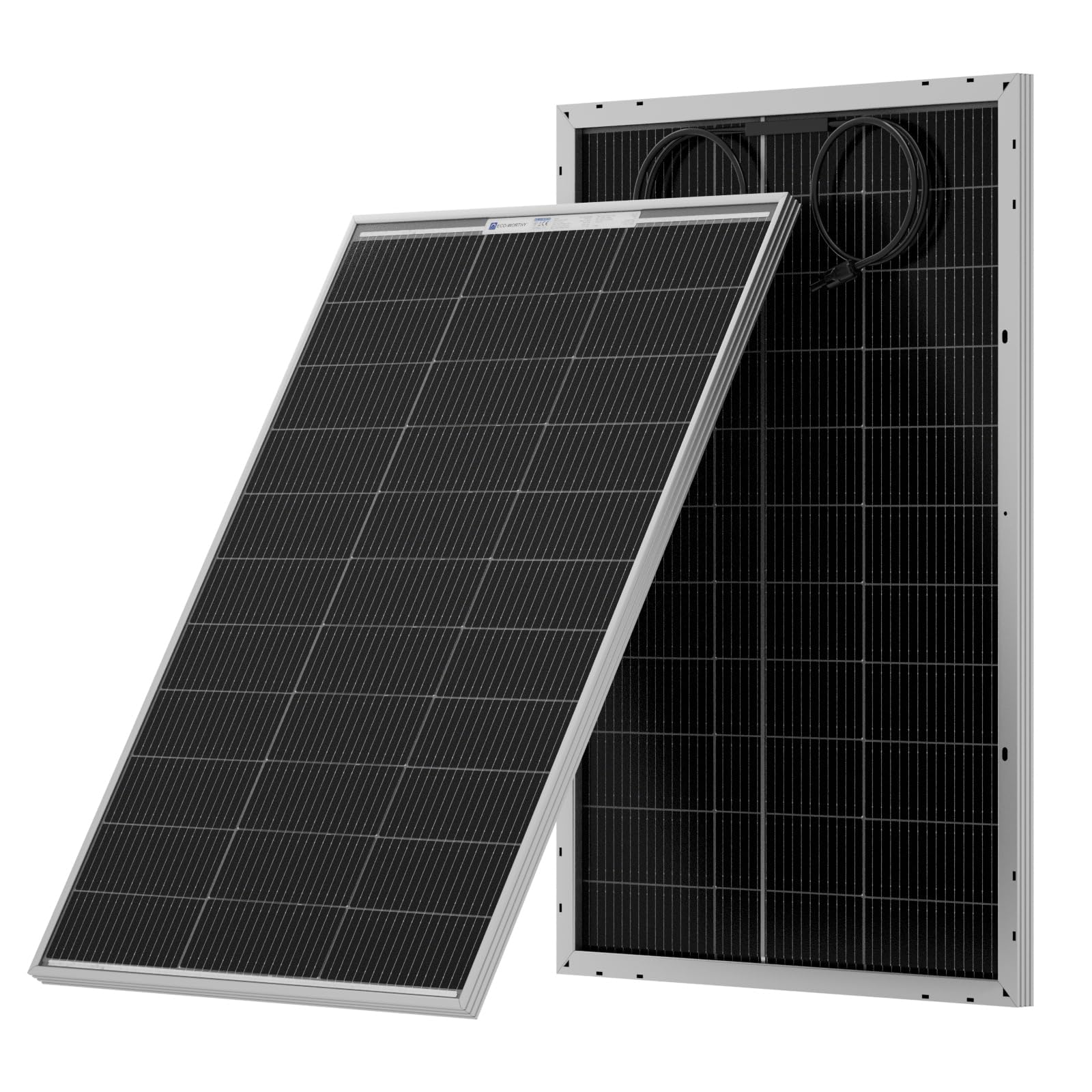 ECO-WORTHY Bifacial 100 Watt 12 Volt Solar Panel Monocrystalline Rigid High-Efficiency PV Module Power Charger for Sunsheds, Canopies, RVs, Farms and Other Off-Grid Applications