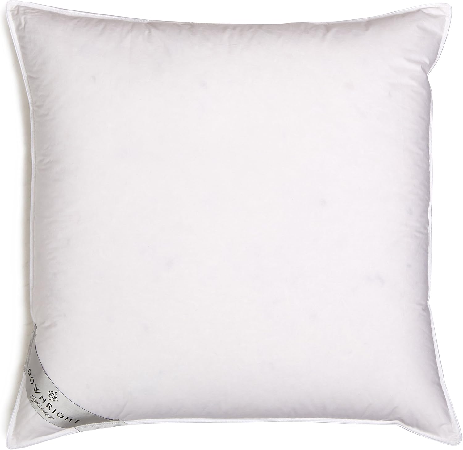 24x24 down pillow insert