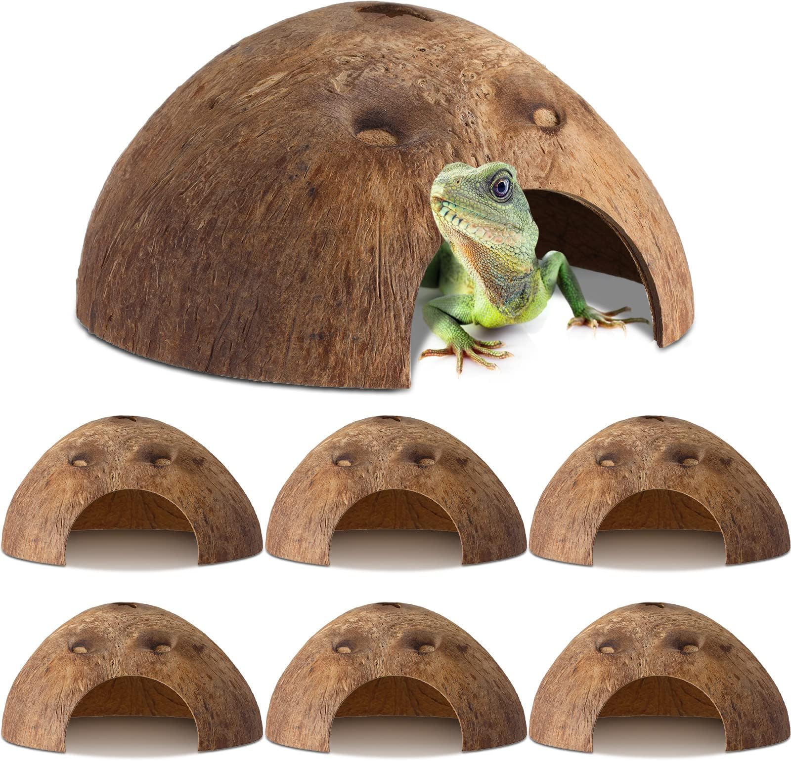 6 Pcs Coconut Shell Reptile Hideouts Hut Reptile Hides and