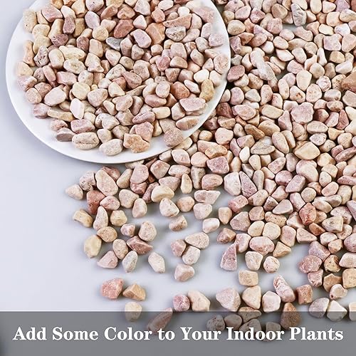 Miniatura 7 de Arena 100% natural, mini arena de sílice blanca multiusos para hogueras, acuarios y paisajismo, 5 libras