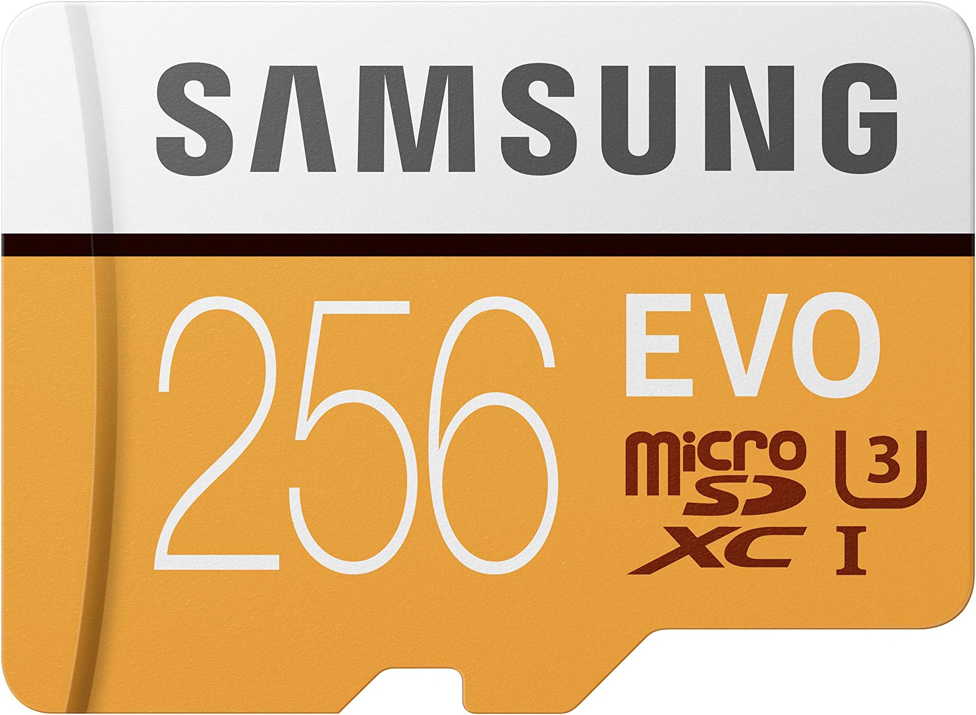 Samsung 256GB 100MB/s (U3) MicroSD Evo Memory Card with Adapter (MB-MP256GA/AM)