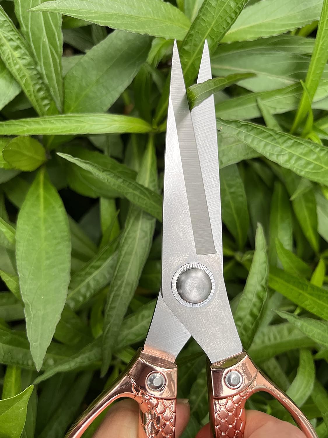 All purpose scissors heavy duty - for kitchen, office, home use, multipurpose Industrial grade scissors