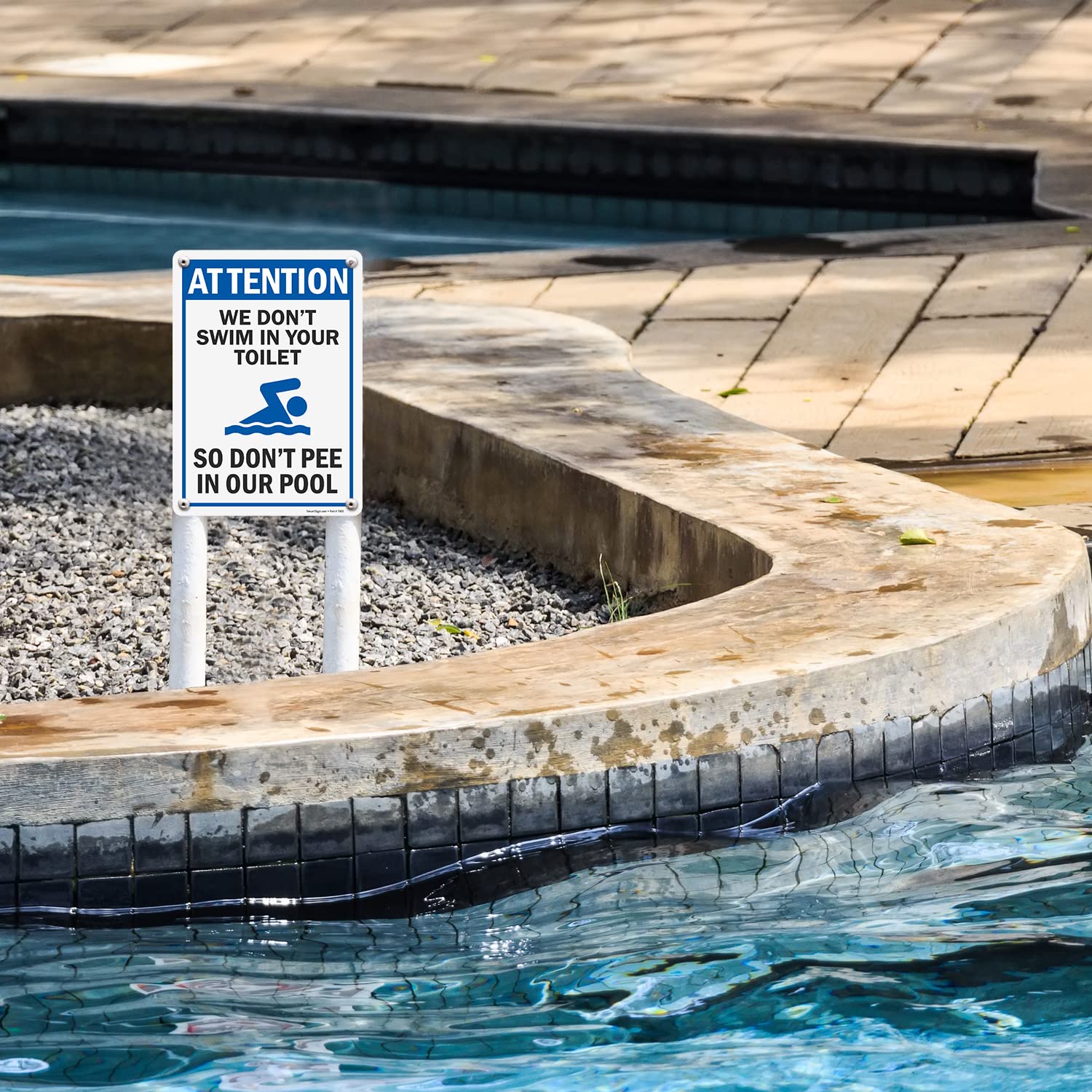 SmartSign Divertido cartel de piscina con texto en inglés "We Don't Swim In Your Toilet, So Don't Pee In Our Pool" | 25,4 x 35,5 cm plástico