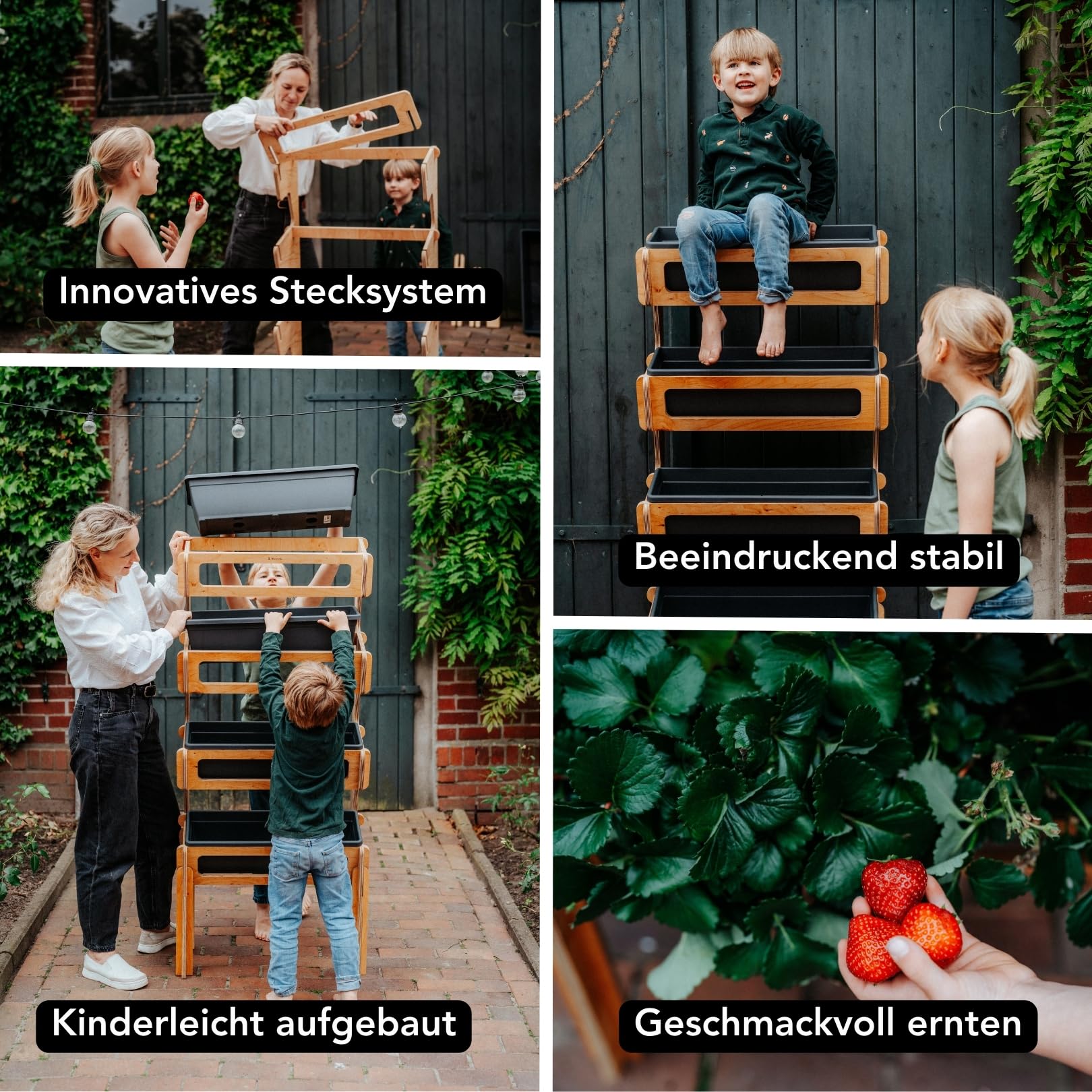 Bloomify® Vertikalbeet mit 4 Etagen aus Birkenholz – Aufbau ohne Schrauben – 4 rausnehmbare Pflanzkästen – 64×33×146 cm – schmales vertikales Hochbeet für Balkon, Terasse & Garten