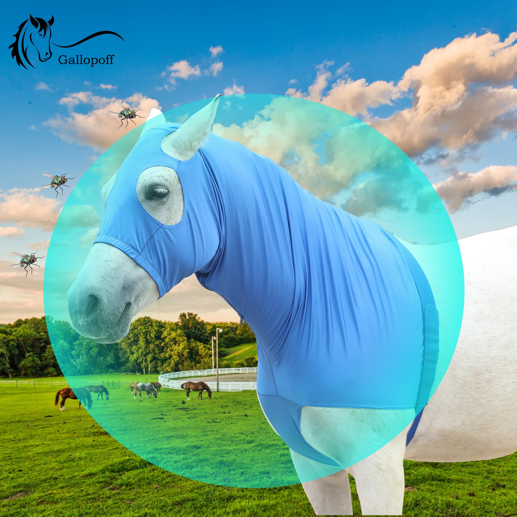 Hood Cavallo Elasticizzato con zip - Copertura del Collo e del Volto Completa