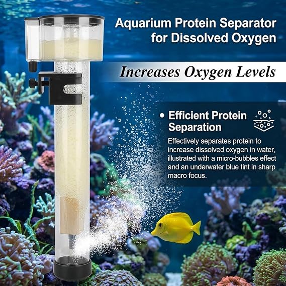 Protein Skimmer for Aquariums, Acrylic Fish Tank Filter Separator with IQ5 Mini Aquarium Filter Accessory