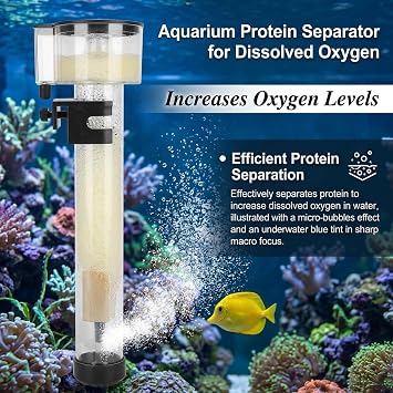 Protein Skimmer for Aquariums, Acrylic Fish Tank Filter Separator with IQ5 Mini Aquarium Filter Accessory