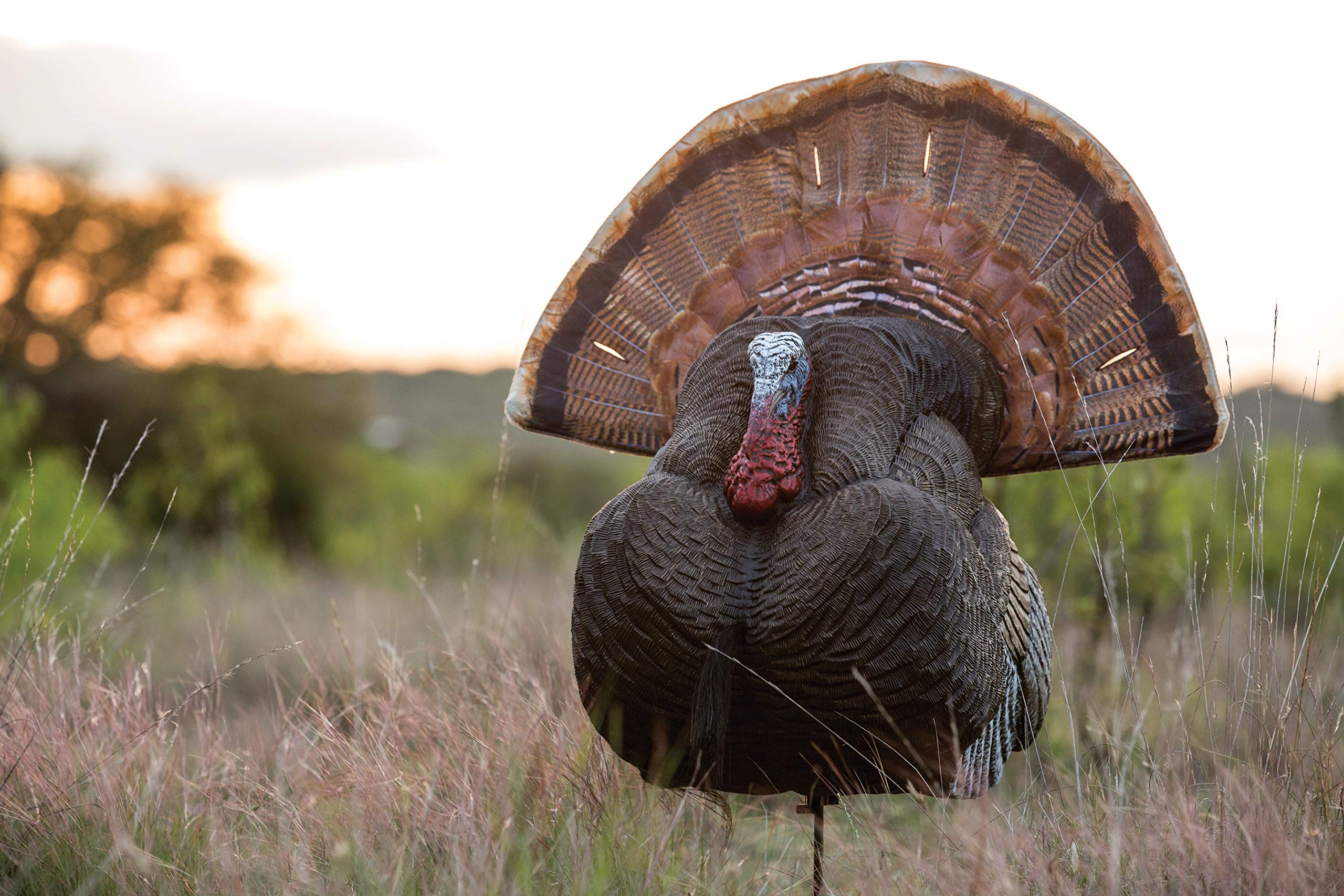 Flambeau Outdoors Outdoor 700KS King Strutter-Señuelo de Pavo