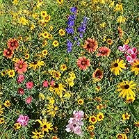 Vista 1 de Outsidepride Mezcla de semillas de flores silvestres de montaña de 5 libras para elevaciones altas