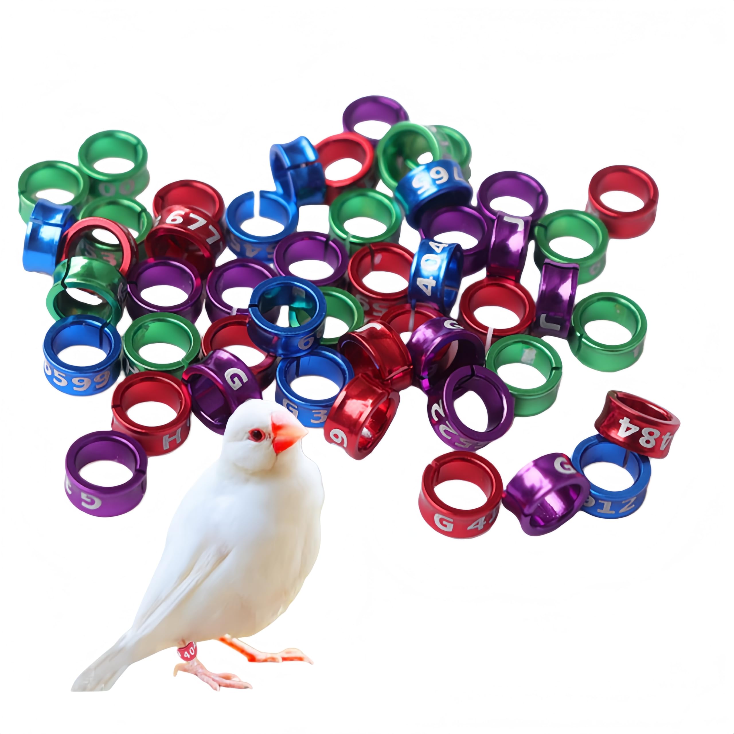 Anillos para pie de pájaro 6 mm para loros palomas pollitos colores mezclados
