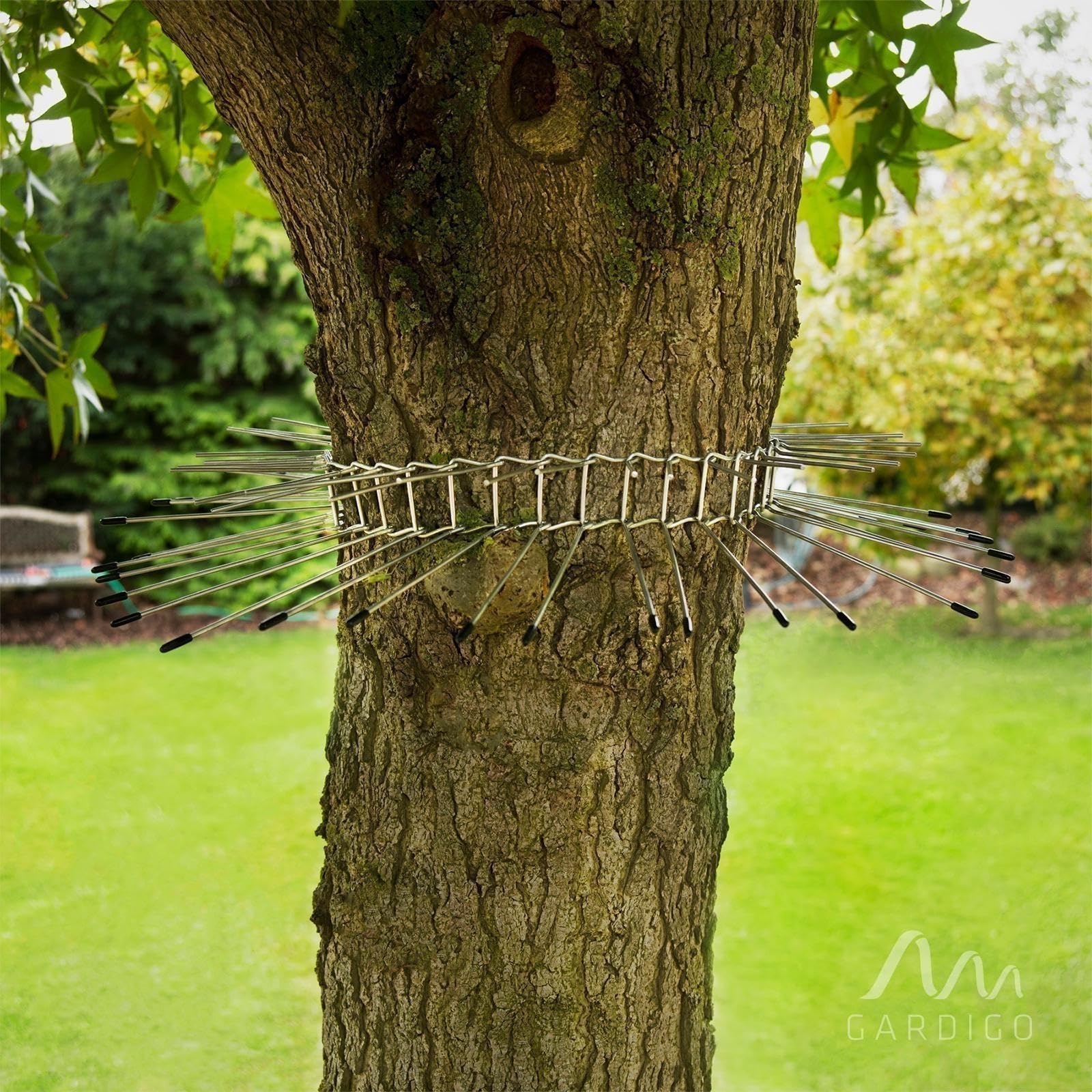 GARDIGO Ceinture Anti-Chats pour Arbres en Acier Galvanisé 21 cm | Barrière anti-chats – Protection des Arbres – Acier galvanisé – Contre les Martres et Ratons Laveurs – Modulable
