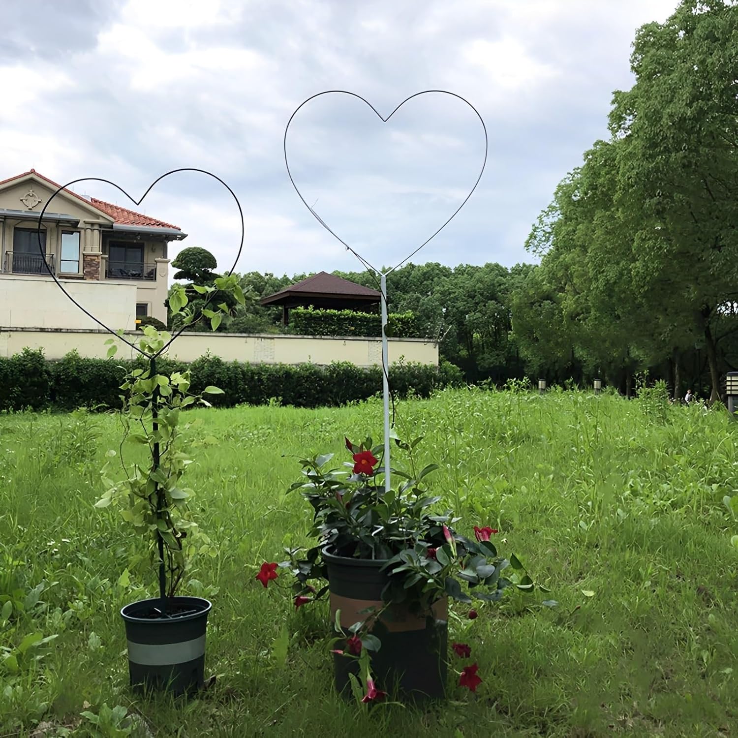 Heart-Shaped Garden Trellis for Climbing Plants, 104cm/41 Iron Plants Climbing Holder Rack for Decorative Potted Plants Flowers Indoor Otdoor (Color : Black, Size : 104x42cm/41x16.5in)