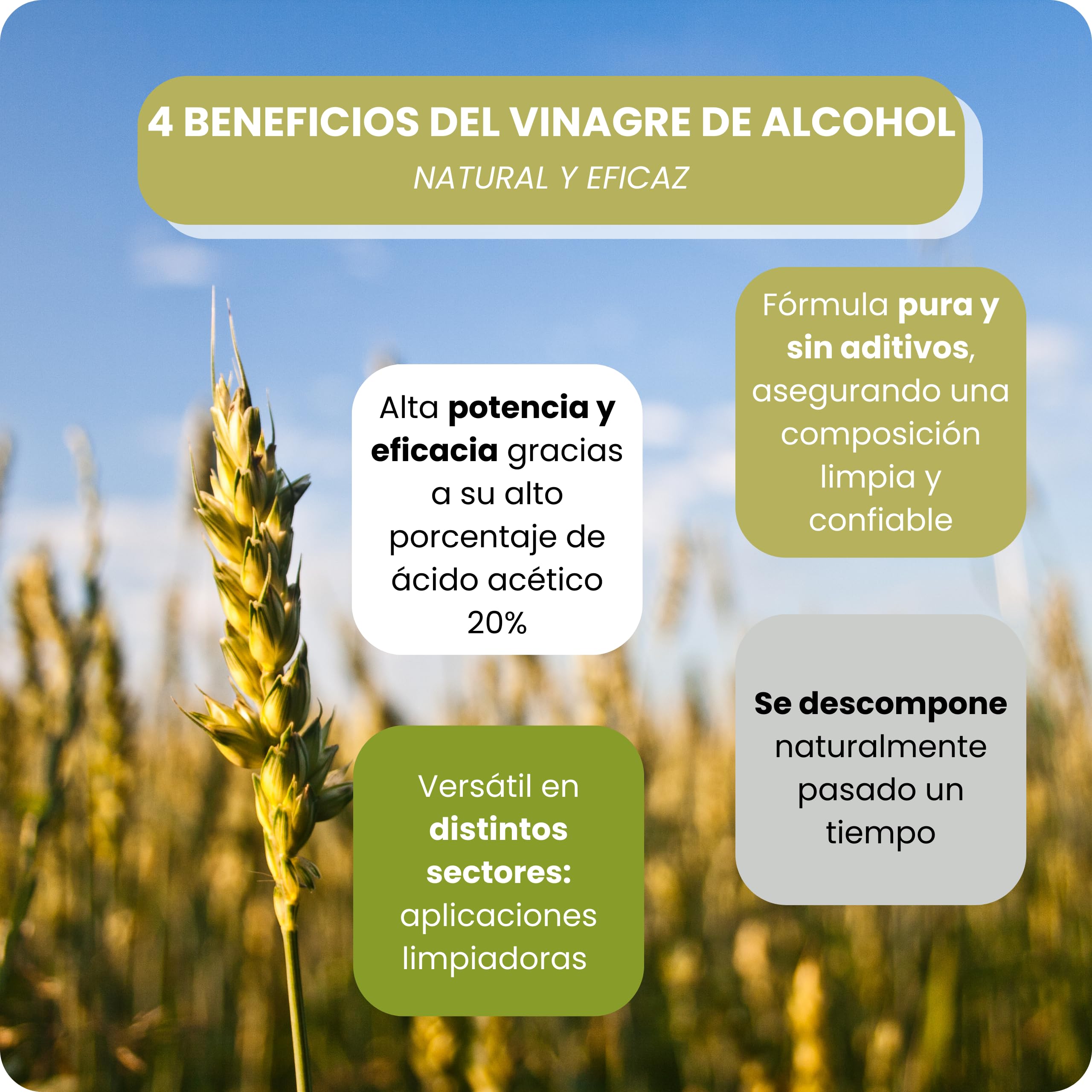 Vinagre Concentrado al 20% - 20L – Origen Natural de Alcohol de Cereal – Sin Residuo - Acción Limpiador Profundo - Elimina Moho y Hongos (20L)
