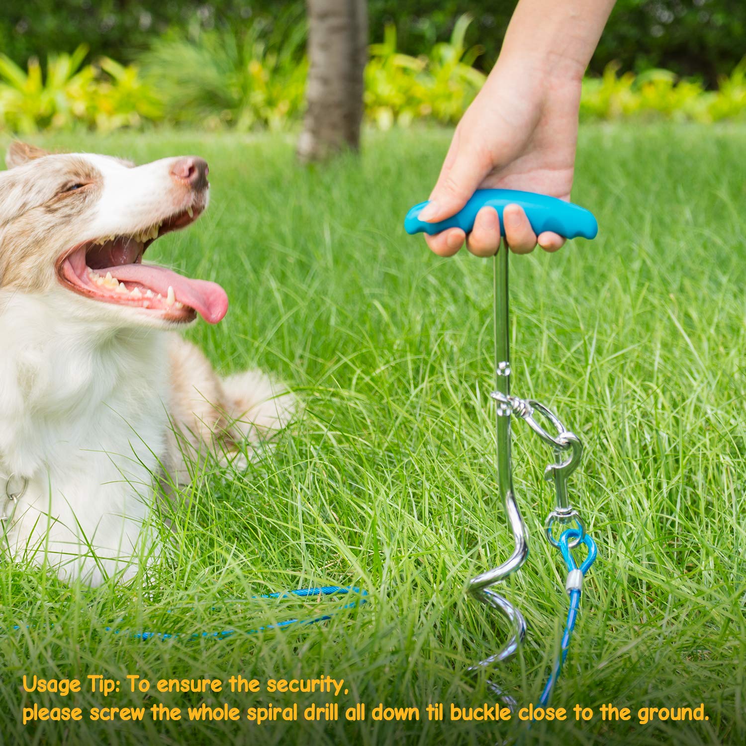 Petphabt Piquet pour chien et câble d'attache robuste avec piquet en spirale de 40,6 cm pour chiot et animal domestique Bleu sarcelle 10 m