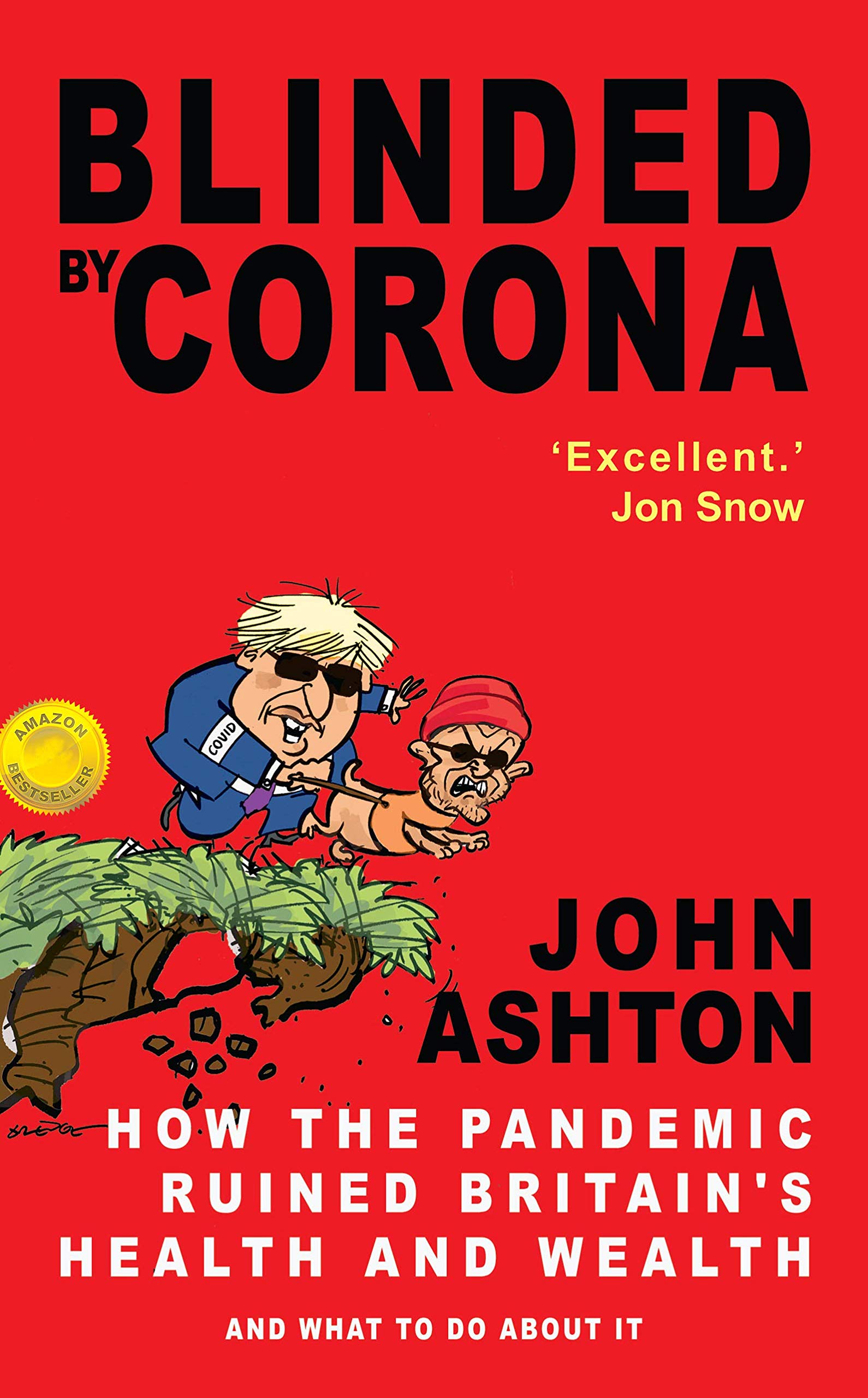 Blinded by Corona by John Ashton (Paperback Book)