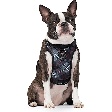 canada pooch harness medium
