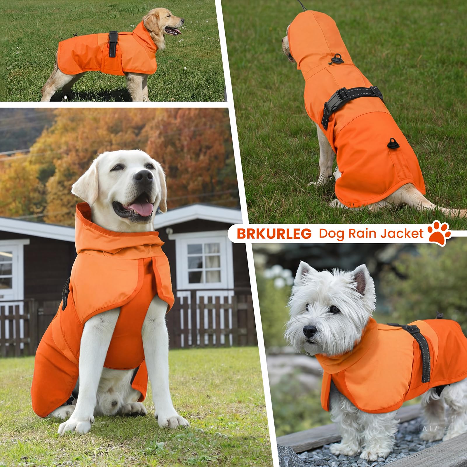 BRKURLEG Hunderegenmantel - wasserdichte Regenjacke mit Kapuze - Orange - XXL