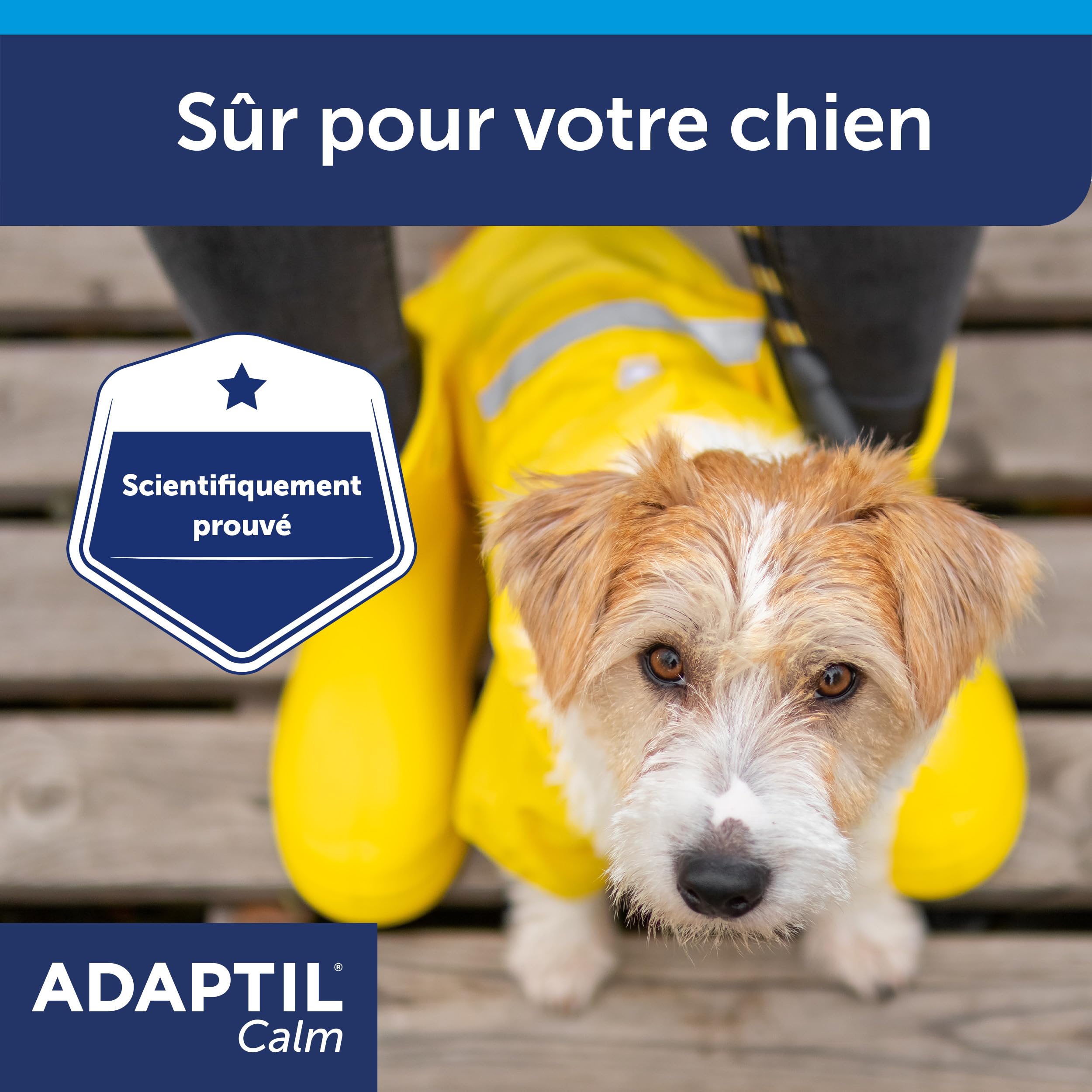 ADAPTIL Calm – Anti-Stress pour Chien – Collier Petits Chiens – Taille S