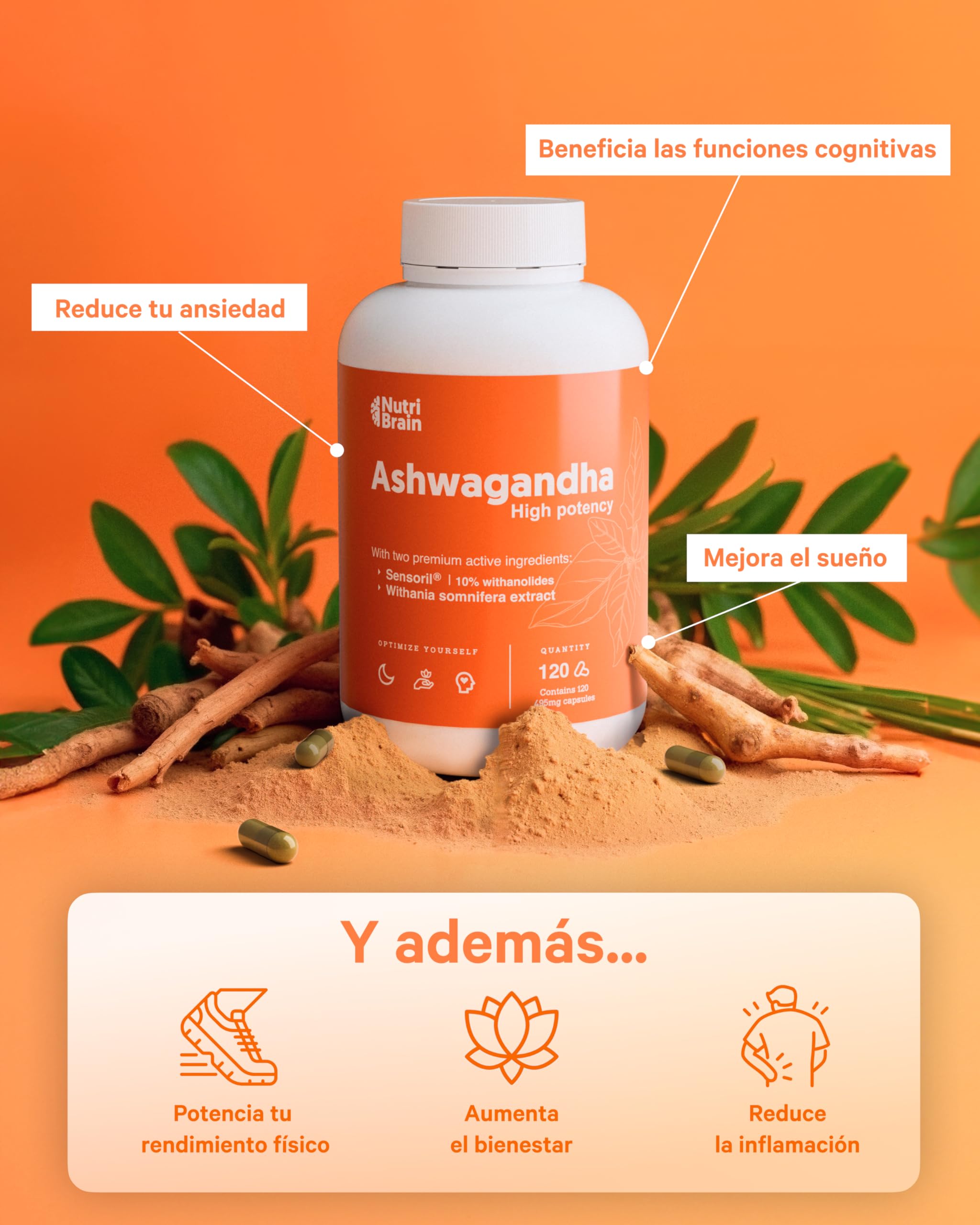 Ashwagandha Alta Potencia: Adaptógeno con Sensoril® (10% Withanólidos) | Sueño Profundo, Estrés, Bienestar, Energía, Concentración | 120 cápsulas | 4 Meses | 2x Más Concentrado que Ashwagandha KSM-66