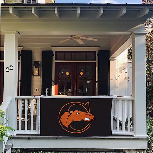 Miniatura 4 de Desert Cactus Campbell - Banderas de camellos de lucha con bandera de la universidad, 100% poliéster, para interiores y exteriores, 3 x 5 (estilo 4)