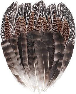 obmwang 30 Pcs 15-22cm Natural Pheasant Feathers 3 Style Mixed Natural Feathers for DIY Craft Wedding Home Party Decorations